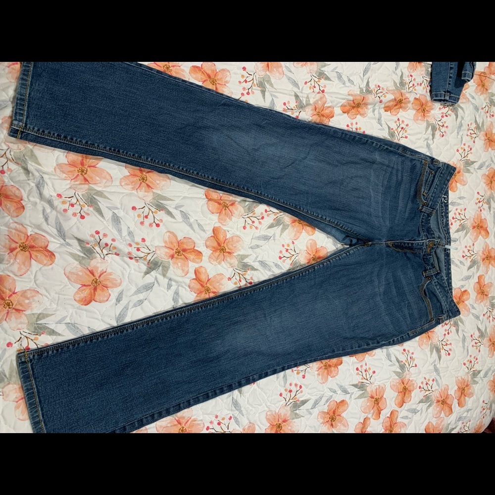 Ann Taylor Loft Denim Jeans
